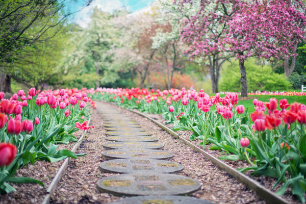 Landscape gardeners in Croydon